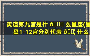 黄道第九宫是什 💐 么星座(星盘1-12宫分别代表 🐦 什么)